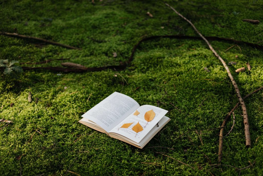 A book laying on the grass